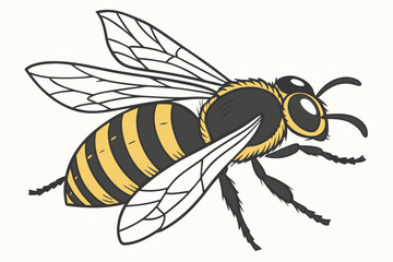 bee vector illustration