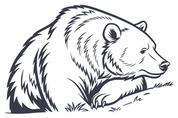 vector illustration of a bear