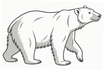 polar bear vector illustration