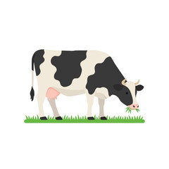 Creative Flat Vector Illustrations of cow: Minimalist, Modern, and Perfect for Pet-Themed Graphics.Charming Flat Vector cow Illustration: Playful, Minimal, and Versatile Cartoon Primate Design
