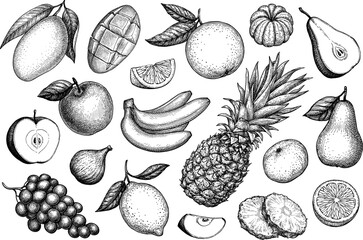 Fruits big set ink sketch.