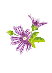 Bouquet of purple wildflowers