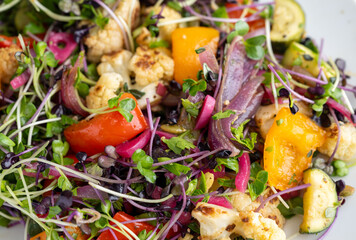 Close up of Roasted Vegetable Salad with Fresh Herbs and Sprouts