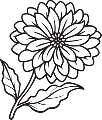 black and white flowers