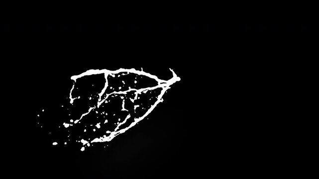 Small blood burst VFX element - blood hitting the ground - 60 fps, 4K Pro Res with mask pass