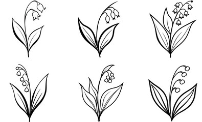 Elegant Black and White Lily of the Valley Illustration