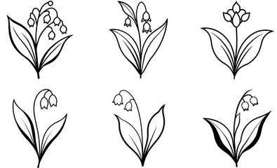 Elegant Black and White Lily of the Valley Illustration