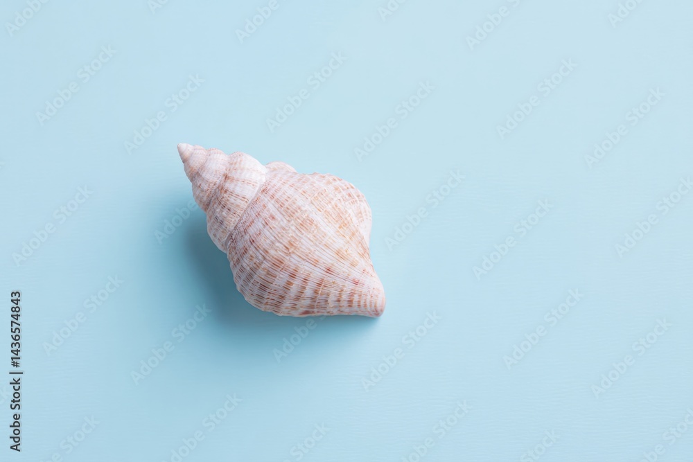 Poster capture single seashell centered on smooth solid color background with minimalistic design