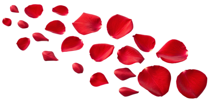 Generative ai. A bunch of red rose petals are scattered across a plain white background, looking like they've been tossed