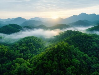 Obraz premium Sunrise over lush, misty mountain range. Rolling green hills and valleys bathed in sunlight