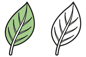 Two Leaves One Green Color, Other Line Drawing on White Background