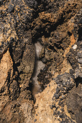 Detail of tafoni which are cavities that develop in granular rock