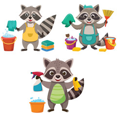 Cute Raccoon