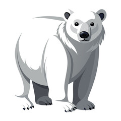 Polar Bear