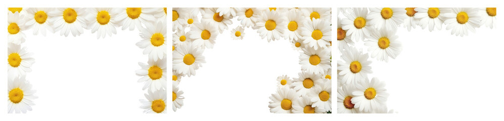 Obraz premium PNG Daisy floral alphabet letters, element set on transparent background