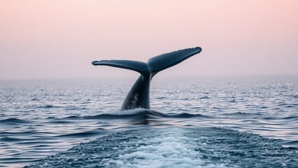 Humpback whale tail fluke breaching the surface of the ocean.