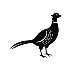  Simple and elegant pheasant bird icon designed in minimalist black style