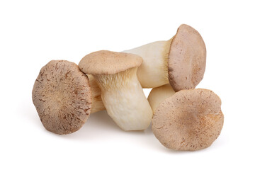 Eryngii mushrooms isolated on white background. Oyster mushrooms are edible mushrooms. The fleshy fruiting body has a sweetish taste. In English, it is called King Oyster Mushroom.
