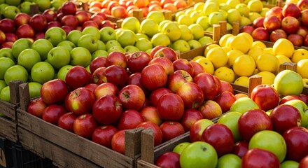 Apples Displayed in Wooden Crates Variety of Colors