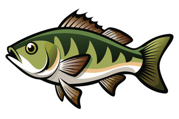 Vector Illustration of a Bass Fish Isolated on White Background.