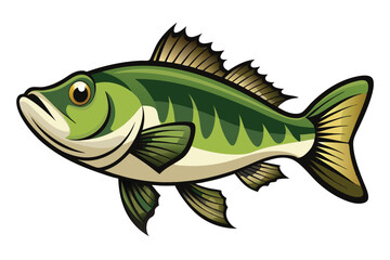 Vector Illustration of a Bass Fish Isolated on White Background.