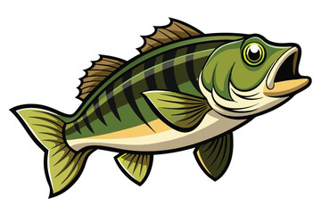 Vector Illustration of a Bass Fish Isolated on White Background.