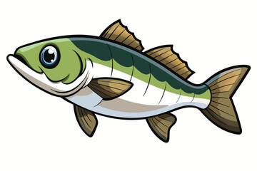 Vector Illustration of a Bass Fish Isolated on White Background.