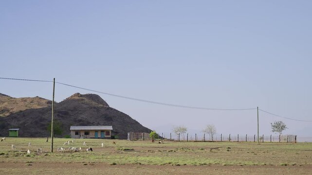 Village nestled against a hill under clear skies in Tanzania Africa. Fence lines stretch across open, grassy fields. Animals graze near a modest, single-story home. Masai territory modest living