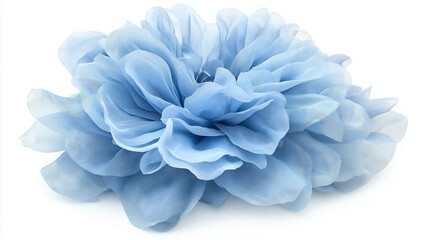 Light blue flower on a white background