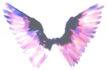 Obraz premium PNG Cutout collage wings purple illustration spiritual.