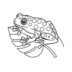 Outline illustration of a spotted frog resting on a tropical leaf for coloring pages