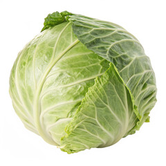 cabbage isolated on transparent background