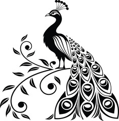 Elegant Black and White Peacock with Floral Design