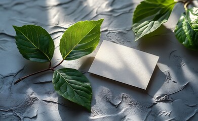 Blank Card Mockup with Green Leaves for Branding and Eco-Friendly Design


