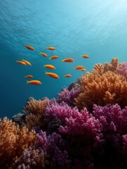 Obraz premium Underwater photograph of a group of orange fish swimming over a coral reef.