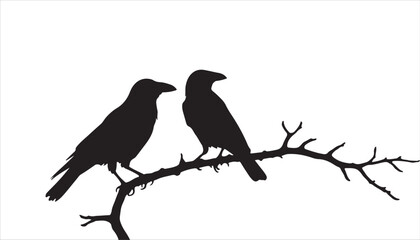 A black crow silhouette, a wild bird with a distinct beak, perches on a tree branch in nature