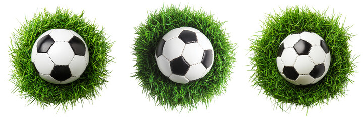 Fototapeta premium A set of soccer football ball on vibrant green grass isolated on a transparent background