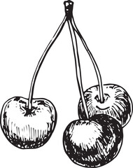 Hand-drawn black and white cherry illustration