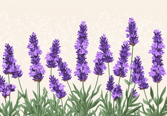 Naklejka premium A stylized illustration of lavender flowers is presented, perfect for use in print, textile, and web design projects