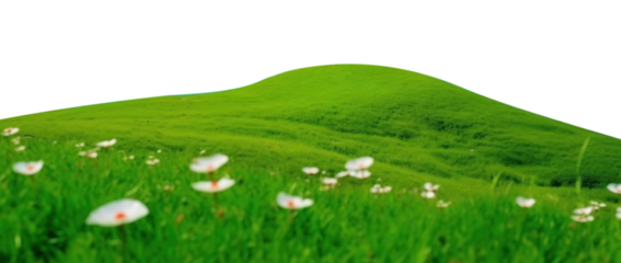 PNG Natural meadow grassland landscape outdoors.