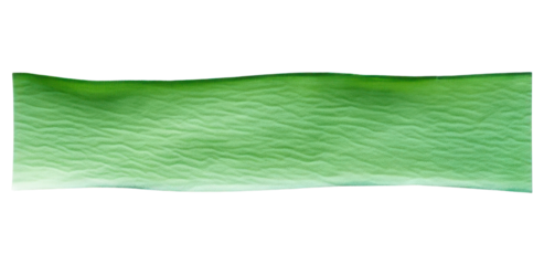 PNG Wave green adhesive strip backgrounds paper leaf.