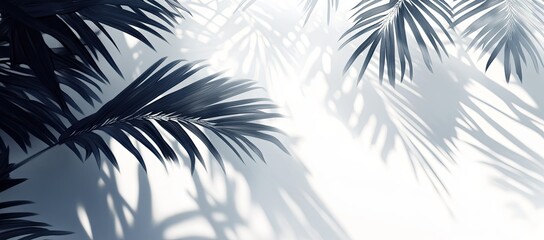 Tropical Palm Leaf Shadows on a Light Background