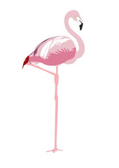 Vector illustration of pink flamingo in profile view, minimalistic style, vibrant colors, symbol of elegance and tropical vibes

