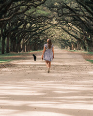 A woman and two dogs walking down a dirt road underneath live oak trees covered in spanish moss. The woman is wearing a blue dress and the environment is very green in early spring in Georgia.