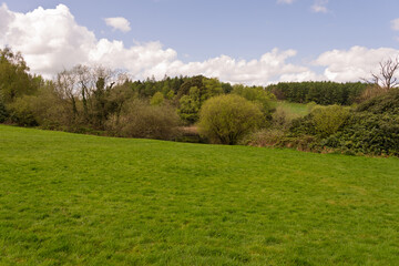 A large, open field with trees in the background