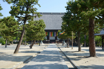 百萬遍知恩寺　参道と御影堂　京都市左京区