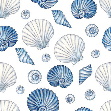 elegant blue and white and colorful sea shells pattern on a minimalistic background