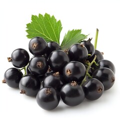 Fototapeta premium Fresh black currant fruit with vibrant green leaves on white surface