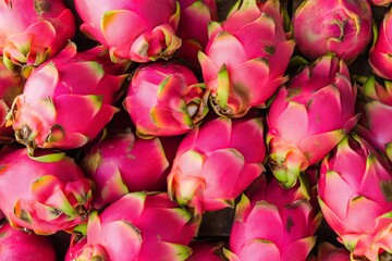 Obraz premium Enjoying vibrant dragon fruits with their striking pink and green hues