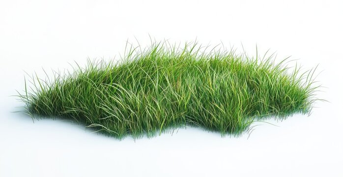 Lush green grass tuft